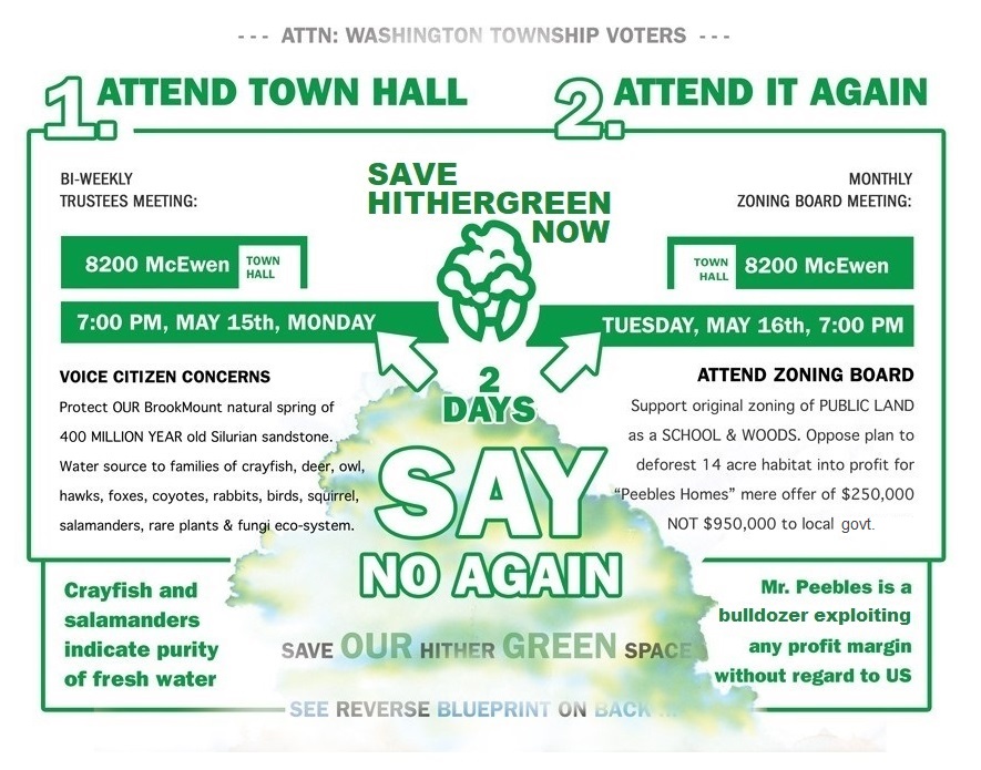 Save Hithergreen Now Flyer